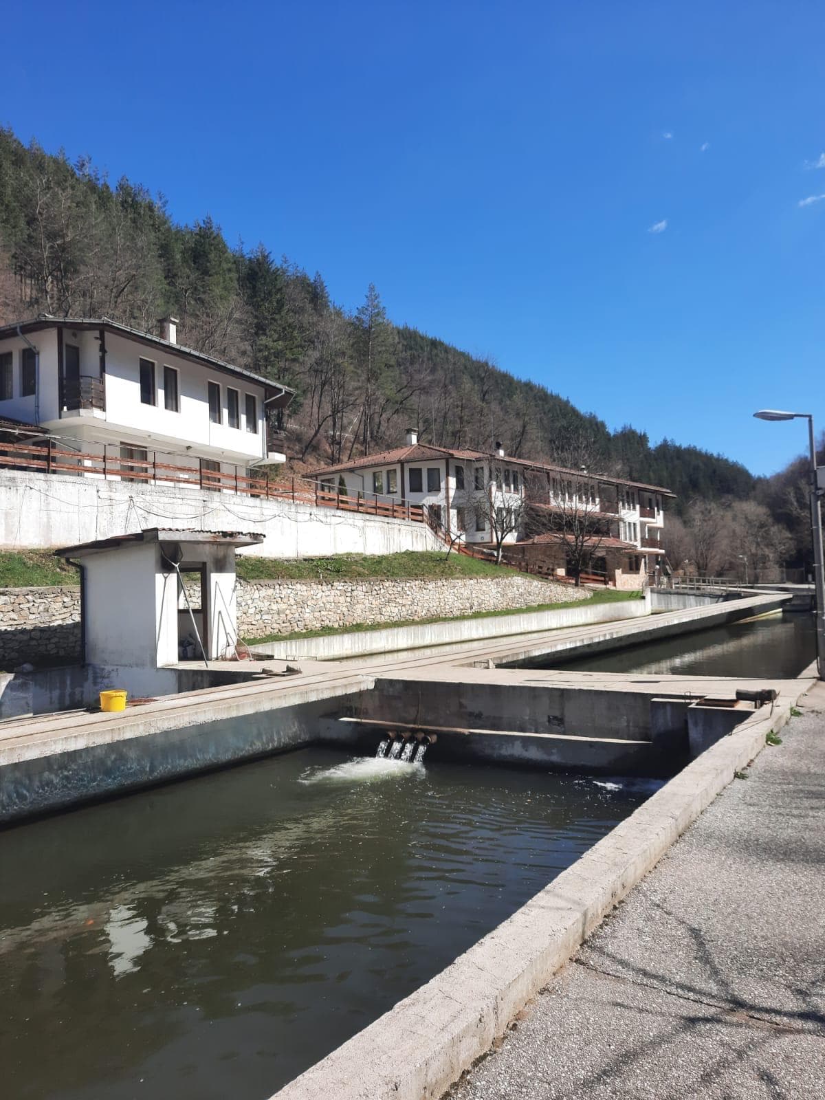 Fish Farm