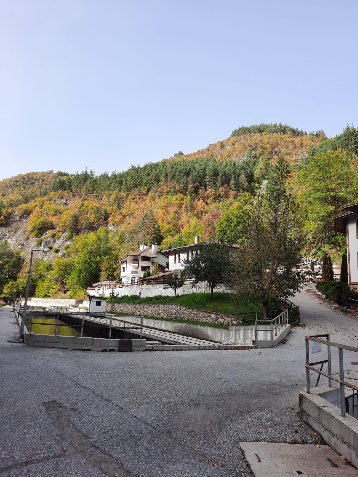 Nature Retreat